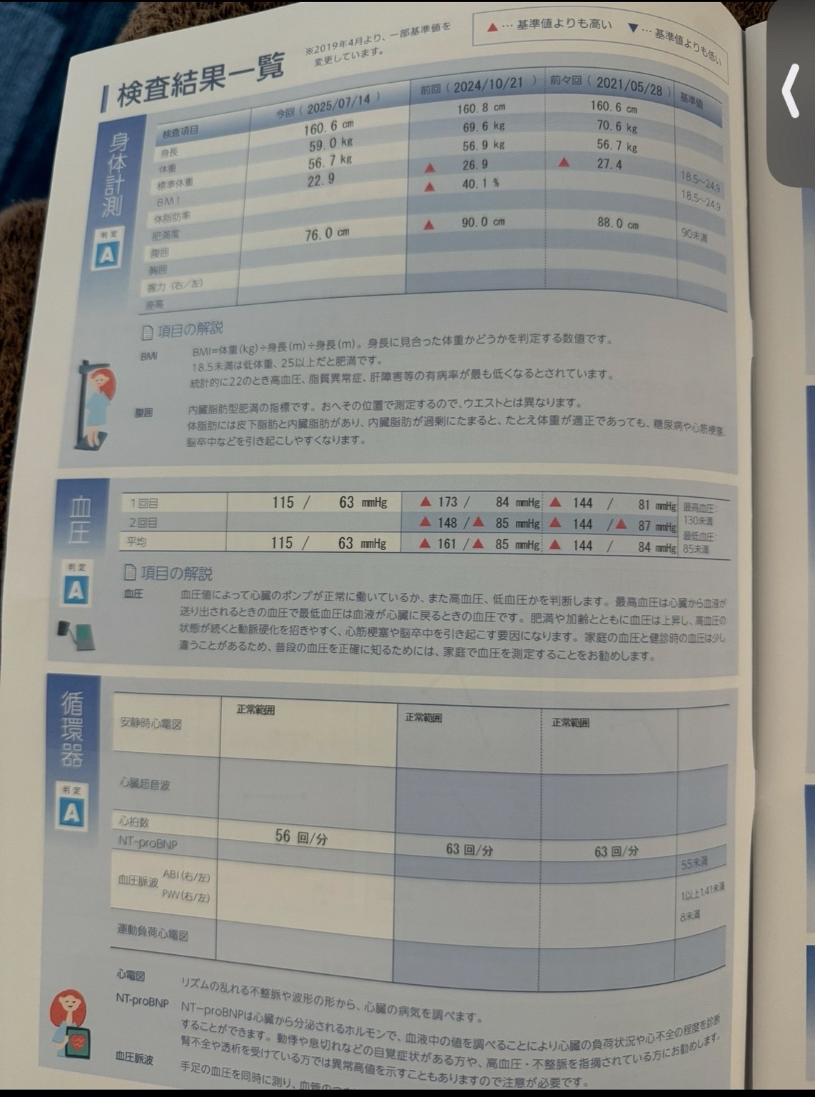 57歳・約8か月で −15kg。筋肉を減らさず体脂肪を落とす——（続編）健康診断の結果